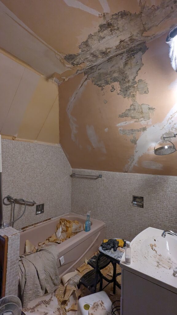 messy bathroom under renovation